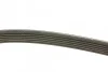 Ремень поликлиновый(приводной) 6PK1880 BOSCH 1 987 946 064 (фото 2)