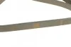 Ремень поликлиновый(приводной) 6PK1880 BOSCH 1 987 946 064 (фото 3)