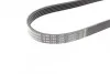Ремень поликлиновый(приводной) 5PK735 BOSCH 1 987 946 093 (фото 2)