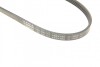 Ремень поликлиновый(приводной) BOSCH 1 987 946 112 (фото 5)