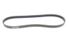 Ремень поликлиновый BOSCH 1987946128 (фото 5)