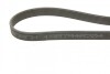 Поликлиновый ремень BOSCH 1987946204 (фото 4)