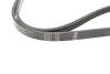 Ремень поликлиновый(приводной) BOSCH 1 987 946 234 (фото 3)