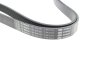 Ремень поликлиновый(приводной) BOSCH 1 987 946 262 (фото 2)
