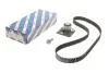 Комплект ГРМ Z=132 MITSUBISHI/OPEL/NISSAN/RENAULT Carisma/Trafic/Primastar/Movano ''1.9DCI ''01-06 BOSCH 1 987 946 700 (фото 1)