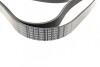 Ремень поликлиновый(приводной) BOSCH 1 987 947 060 (фото 3)