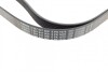 Ремень поликлиновый(приводной) BOSCH 1 987 947 568 (фото 2)