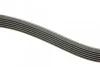 Ремень поликлиновый(приводной) 6PK1190 BOSCH 1 987 947 818 (фото 3)