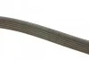 Ремень поликлиновый(приводной) 6PK2030 BOSCH 1 987 947 823 (фото 2)