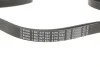 Ремень поликлиновый(приводной) 6PK2080 BOSCH 1 987 947 824 (фото 3)