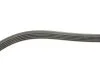 Ремень поликлиновый(приводной) 5PK930 BOSCH 1 987 947 825 (фото 3)