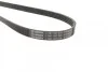 Ремень поликлиновый(приводной) 5PK875 BOSCH 1 987 947 829 (фото 2)