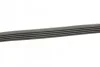Ремень поликлиновый(приводной) 5PK725 BOSCH 1 987 947 831 (фото 4)