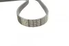 Ремень поликлиновый(приводной) 6PK2100 BOSCH 1 987 947 833 (фото 3)