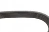 Ремень поликлиновый(приводной) 6PK1230 BOSCH 1 987 947 885 (фото 4)