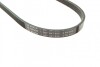 Ремень поликлиновый(приводной) BOSCH 1 987 947 895 (фото 3)