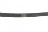Ремень поликлиновый(приводной) 4PK905 BOSCH 1 987 947 899 (фото 2)