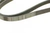 Ремень поликлиновый(приводной) 5PK1110 BOSCH 1 987 947 926 (фото 3)