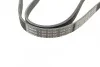 Ремень поликлиновый(приводной) 5PK1125 BOSCH 1 987 947 927 (фото 3)