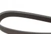 Ремень поликлиновый(приводной) 5PK1125 BOSCH 1 987 947 927 (фото 4)