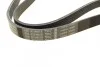 Ремень поликлиновый(приводной) 6PK1165 BOSCH 1 987 947 945 (фото 2)