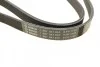 Ремень поликлиновый(приводной) 6PK1165 BOSCH 1 987 947 945 (фото 3)