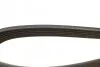 Ремень поликлиновый(приводной) 6PK1165 BOSCH 1 987 947 945 (фото 4)