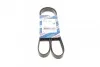 Ремень поликлиновый(приводной) 6PK1460 BOSCH 1 987 947 948 (фото 1)