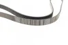 Ремень поликлиновый(приводной) 6PK1460 BOSCH 1 987 947 948 (фото 2)