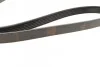 Ремень поликлиновый(приводной) 6PK1460 BOSCH 1 987 947 948 (фото 3)