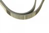 Ремень поликлиновый(приводной) 6PK1555 BOSCH 1 987 947 949 (фото 5)