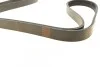 Ремень поликлиновый(приводной) 6PK1560 BOSCH 1 987 947 950 (фото 2)