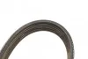 Ремень поликлиновый(приводной) 6PK1560 BOSCH 1 987 947 950 (фото 4)