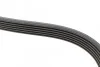 Ремень поликлиновый(приводной) 6PK1725 BOSCH 1 987 947 952 (фото 4)