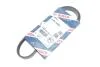 Ремень поликлиновый(приводной) 4PK1006 BOSCH 1987947963 (фото 2)