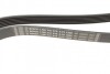 Поликлиновый ремень BOSCH 1 987 947 978 (фото 2)