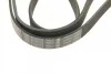 Ремень поликлиновый(приводной) 6PK1675 BOSCH 1 987 947 979 (фото 4)