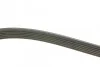 Ремень поликлиновый(приводной) 6PK1750 BOSCH 1 987 947 981 (фото 2)