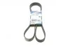 Ремень поликлиновый(приводной) 6PK1623 BOSCH 1 987 947 985 (фото 1)