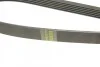 Ремень поликлиновый(приводной) 6PK1623 BOSCH 1 987 947 985 (фото 4)