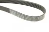 Ремень поликлиновый(приводной) 6PK1623 BOSCH 1 987 947 985 (фото 5)