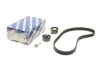 Комплект ремня ГРМ Z=116 FORD/PEUGEOT Focus/Kuga/Mondeo/307/308/407/Expert ''2.0 BOSCH 1 987 948 208 (фото 1)