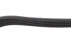 Ремень поликлиновый(приводной) 6PK 1306 BOSCH 1 987 948 343 (фото 4)