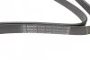 Ремень поликлиновый(приводной) 6PK1955 BOSCH 1 987 948 344 (фото 2)