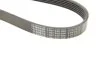 Ремень поликлиновый(приводной) 6PK2615 BOSCH 1 987 948 366 (фото 6)