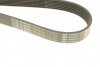 Ремень поликлиновый(приводной) BOSCH 1 987 948 403 (фото 3)