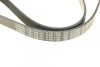 Ремень поликлиновый(приводной) BOSCH 1 987 948 437 (фото 3)