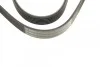 Ремень поликлиновый(приводной) 6PK1130 BOSCH 1 987 948 440 (фото 3)