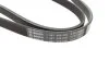 Ремень поликлиновый(приводной) 5PK 1355 BOSCH 1 987 948 459 (фото 3)