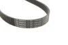Ремень поликлиновый(приводной) 6PK965 BOSCH 1 987 948 485 (фото 2)